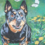 Lancashire Heeler Poster