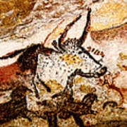 Lascaux Hall Of The Bulls Poster