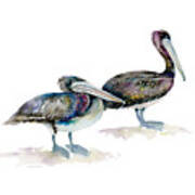 Laurel And Hardy, Brown Pelicans Poster