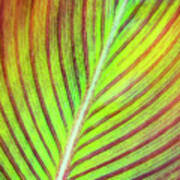 Tropical Leaf Abstract Poster