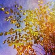 Leaves #trees #colorful #mexturesapp Poster