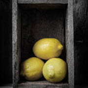 Lemons Still Life Poster