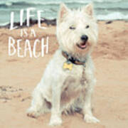 Life Is A Beach Dog Square Poster