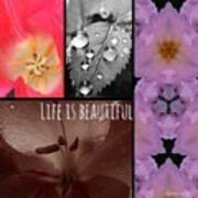 Life Is Beautiful Poster