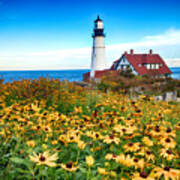 Portland, Maine Lighthouse Flowers Poster