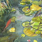 Lily Pad Pond Poster