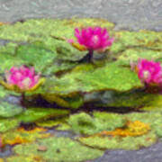 Lily Pads Poster