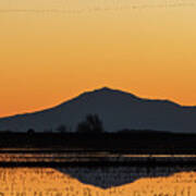 Line Of Birds Above Mt. Diablo Poster