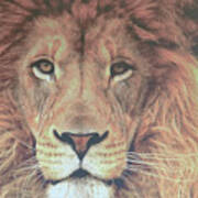 Lion Of Judah Poster