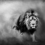 Lion - Pride Of Africa 3 - Tribute To Cecil In Black And White Poster
