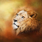 Lion - Pride Of Africa II - Tribute To Cecil Poster