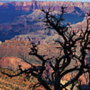 Lipan Overlook Grand Canyon 1 Poster