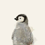 Little Baby Penguin Poster