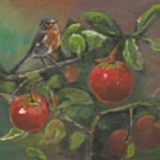 Little Bird In The Apple Tree Poster