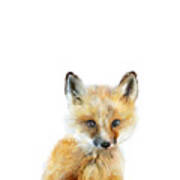 Little Fox Poster