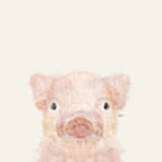 Little Pig Poster