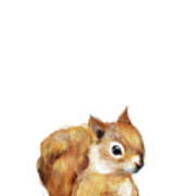 Little Squirrel Poster