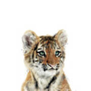 Little Tiger Poster