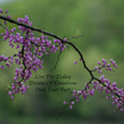 Live Dream Own Floral Spring Time Buds In Purple Text Poster