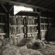 Livestock Barn In Kentucky Poster