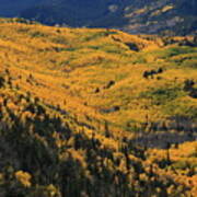 Lockett Meadow Shines Poster