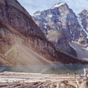 Logs At Lake Moraine Poster