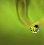 Lonely Water Droplet Poster