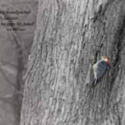 Lonely Woodpecker Poster