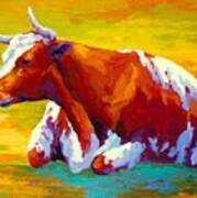 Longhorn Cow Poster