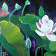 Lotus Garden 1 Poster