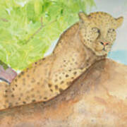 Lounging Leopard Poster