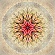 Love From Within Mandala Poster