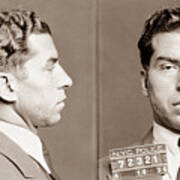 Lucky Luciano Mugshot Poster