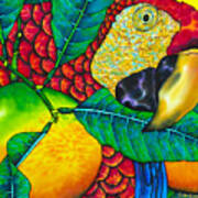 Macaw Close Up - Exotic Bird Poster