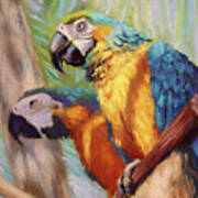 Macaws In The Sunshine Poster
