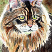 Maine Coon Cat, Cat Paintings, Cat Prints, Poster