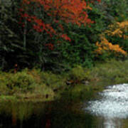 Maine Stream In The Fall Poster