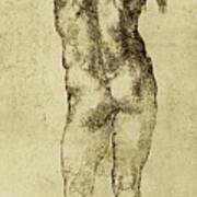 Male Nude Poster