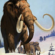 Mammoths From The Ice Age Poster