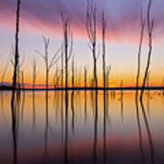 Manasquan Reservoir Long Exposure Poster