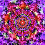 Mandala Floral Red Purple Poster
