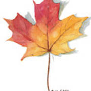 Maple Leaf Poster