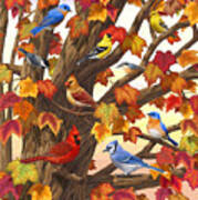 Maple Tree Marvel - Bird Painting Poster
