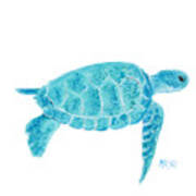 Marine Turtle Painting On White Poster