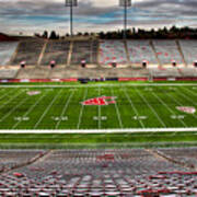 Martin Stadium The Home Of Cougar Football Poster