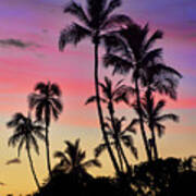 Maui Palm Tree Silhouettes Poster