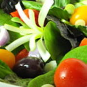 Mediterranean Salad Poster