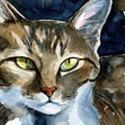 Mesmerizing Eyes - Tabby Cat Painting Poster