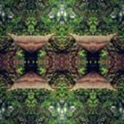 #mirror #trees #kaleidoscope #nature Poster