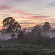 Mist Over Paddock At Berry Poster